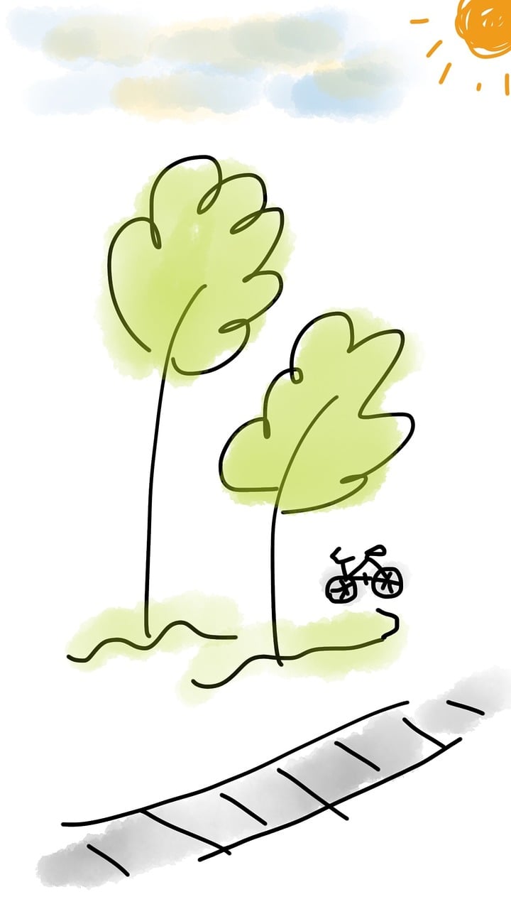 垃圾街最新动态，蜕变与新生之路